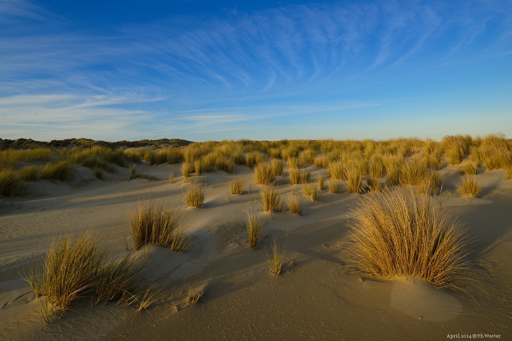 Die Dünen im Südwesten der Insel erstrecken sich auf eine enorme Fläche. Im Abendlicht ist es ein Erlebnis, dort wandern zu gehen (B135)