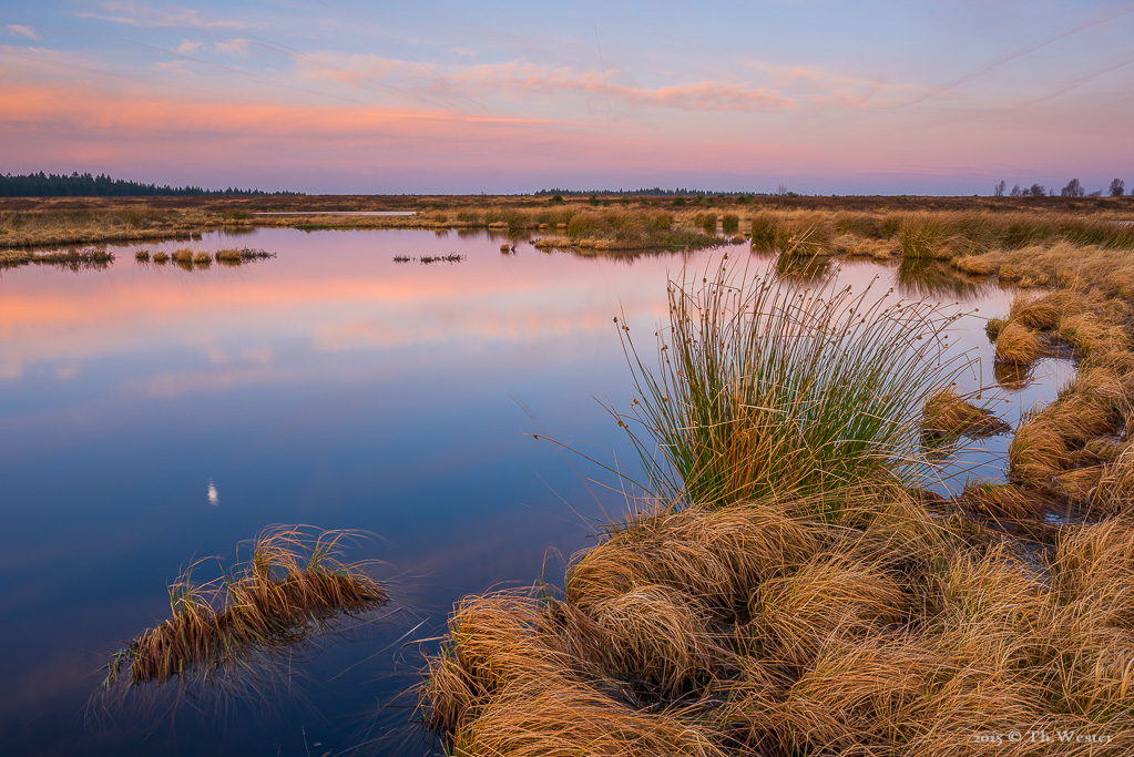 Nach Sonnenaufgang hielt sich diese schöne Färbung für eine knappe viertel Stunde (B419)