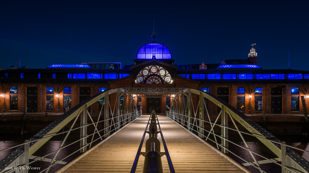 Hamburger Fischmarkt at night (B471)