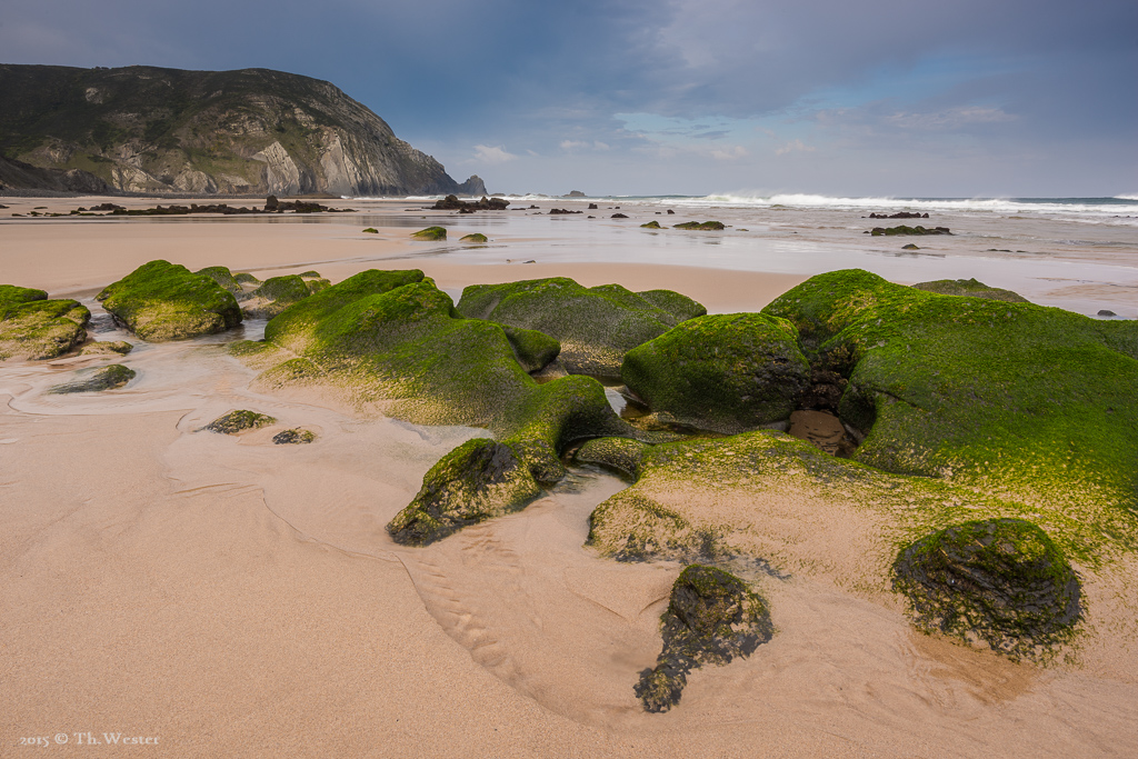 Noch ein Bild der mit Algen bewachsenen Felsen bei Ebbe (B288)