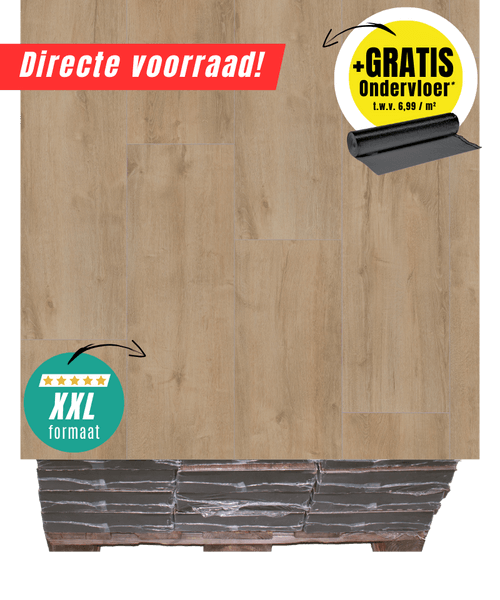 A08 - 4616 Major oak beige XXL