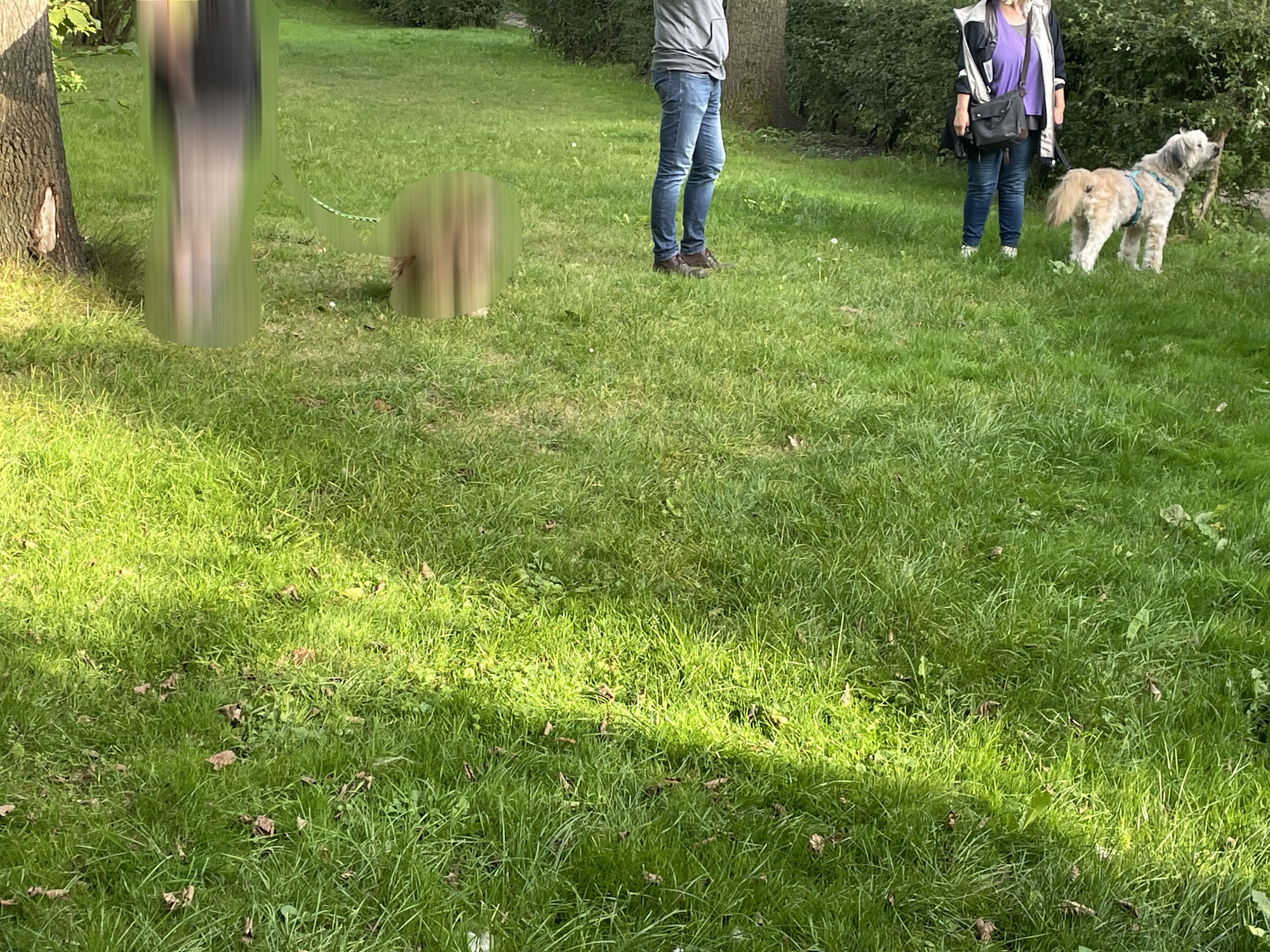 Begehung auf der geplanten Hundefreilauffläche im Wohngebiet. Anzahl der BürgerInnen: ca. 35. Anzahl der Beiratsmitglieder: 1
