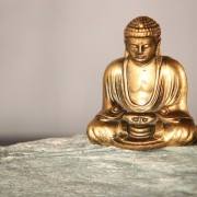 Zen Meditation BErlin