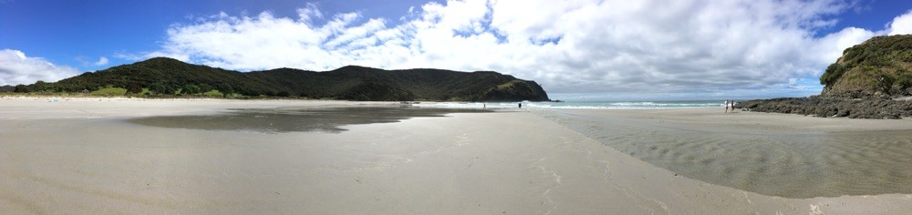 Cape Reinga - Campingplatz