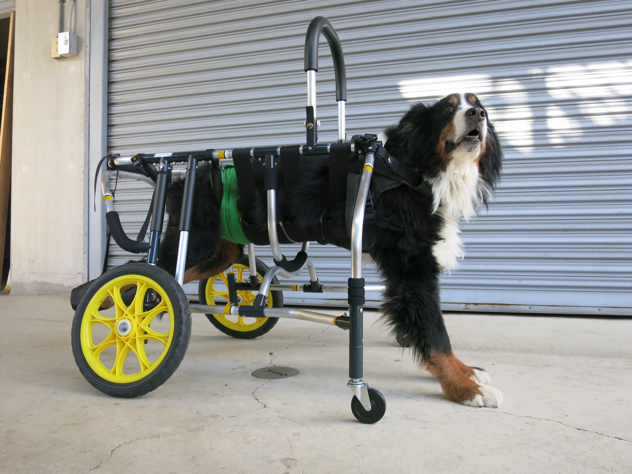 徘徊対処☆専用支柱付き犬用車椅子-