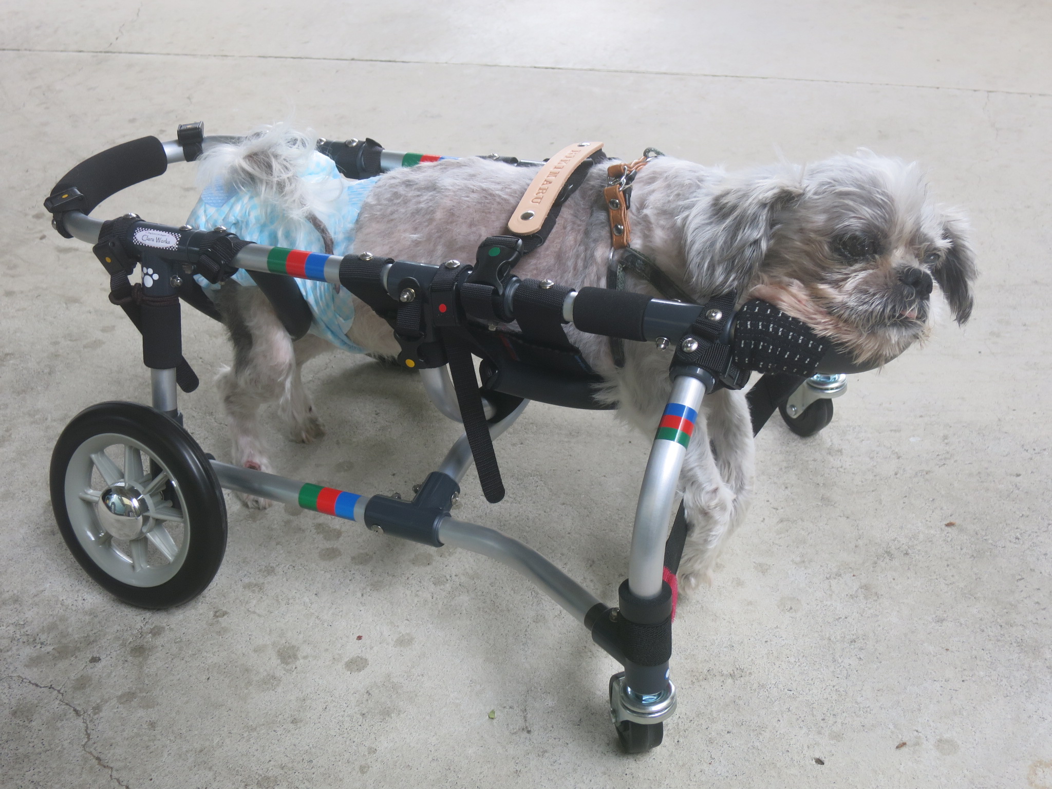 即日発送】 徘徊対処 専用支柱付き犬用車椅子 ienomat.com.br