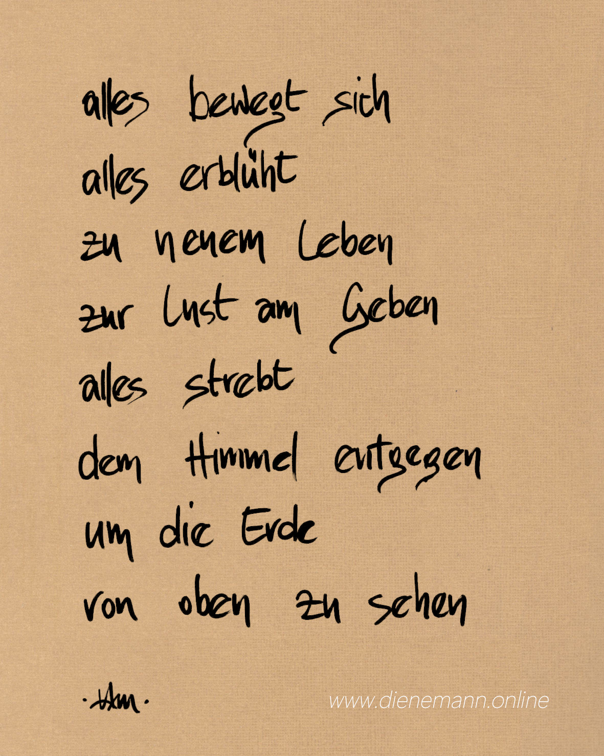 Erde von oben