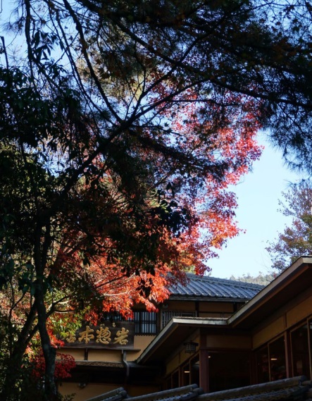 11月のBest Post③ 広島でのわたしのおすすめスポット・食べ物／Hiroshima spots/food recommendations
