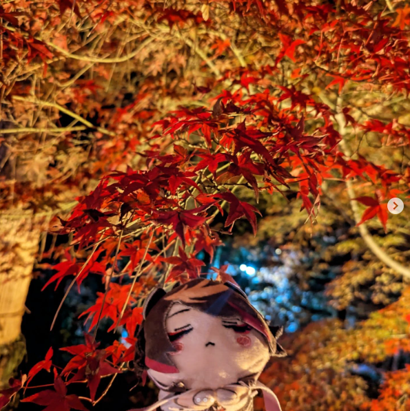 11月のBest Post③ 広島でのわたしのおすすめスポット・食べ物／Hiroshima spots/food recommendations