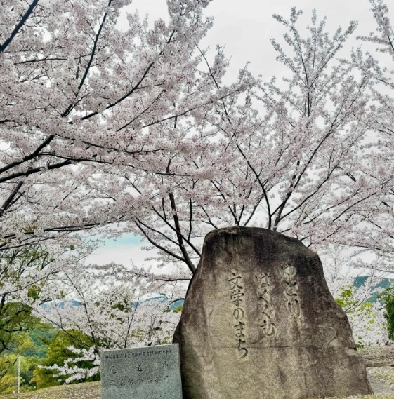 11月のBest Post① 広島でのわたしのおすすめスポット・食べ物／Hiroshima spots/food recommendations