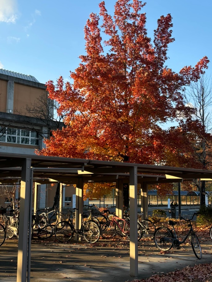 12月のBest Post① わたしの学生生活（楽しいこと・大変なこと、学校の授業・自慢など）／My student life (fun and difficult things, school courses and pride)