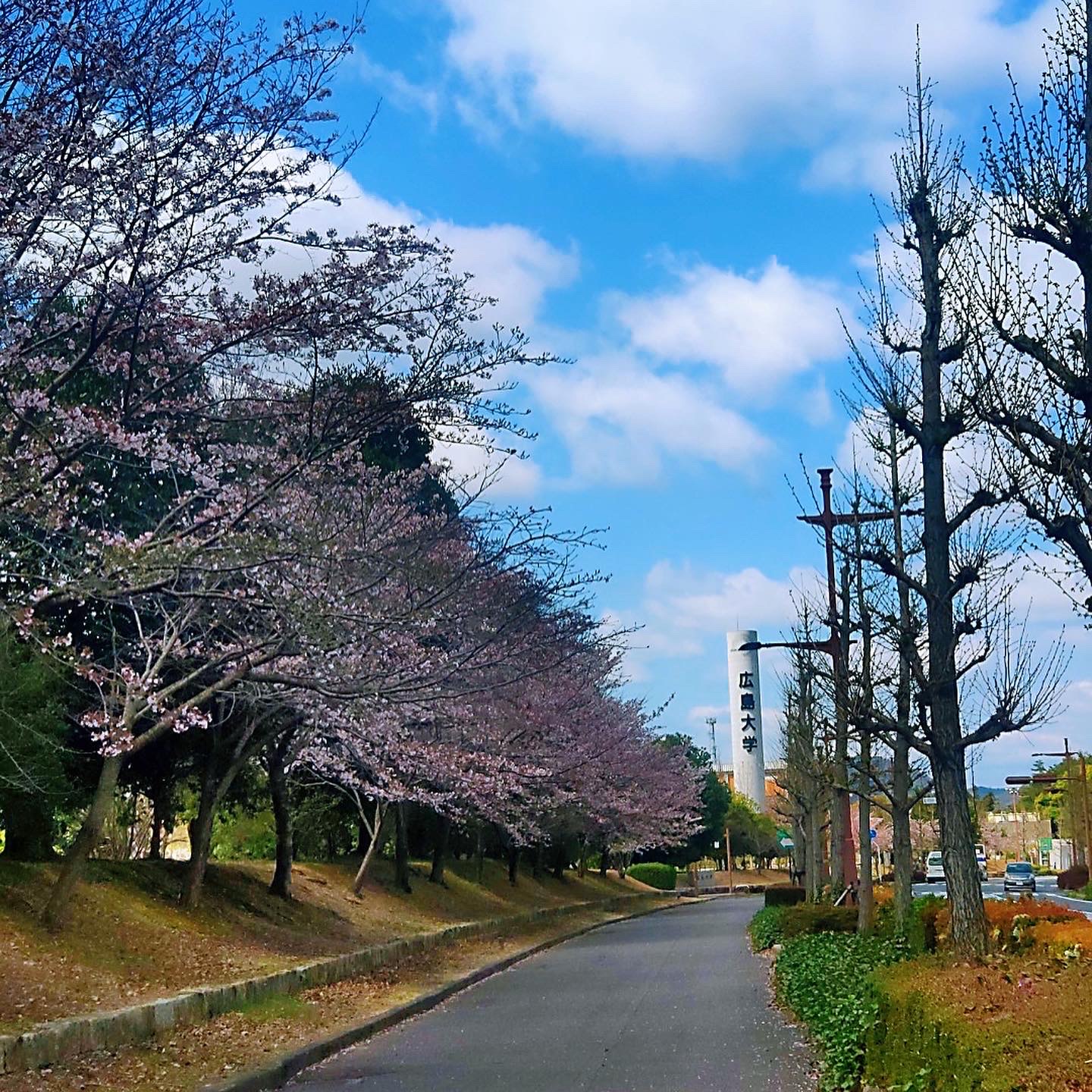 6月のBest Post③日本(広島)へ留学した理由「広島留学は大正解！」