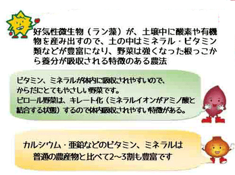 地中に酸素を産み出す農法