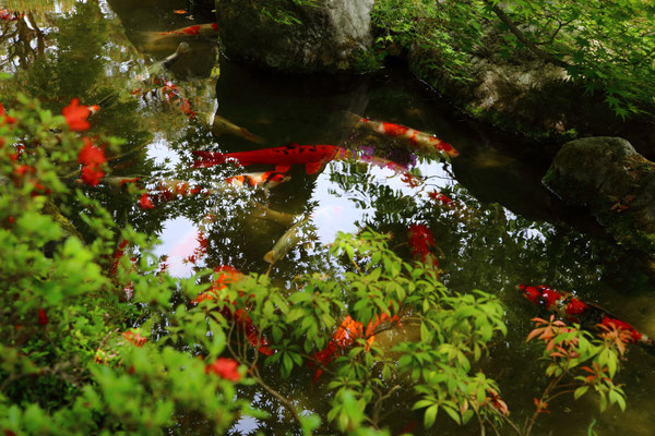 Kyoto