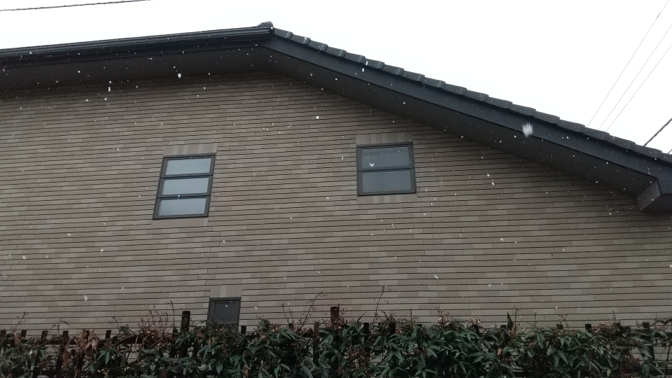 昼間  雪が降りました💦