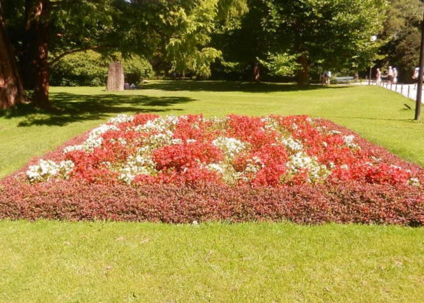 Sommer im Hofgarten