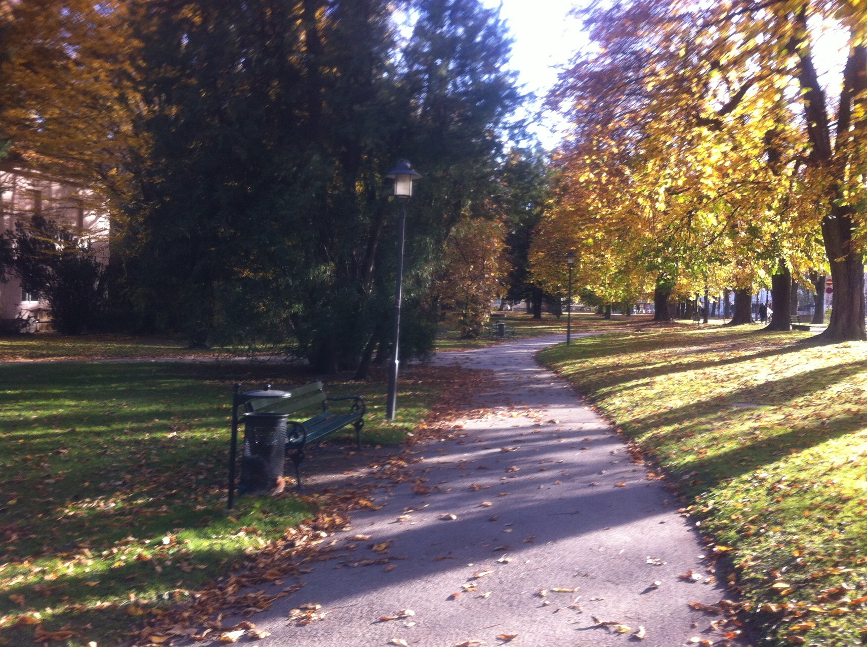 Anfang November 2015 im Hofgarten