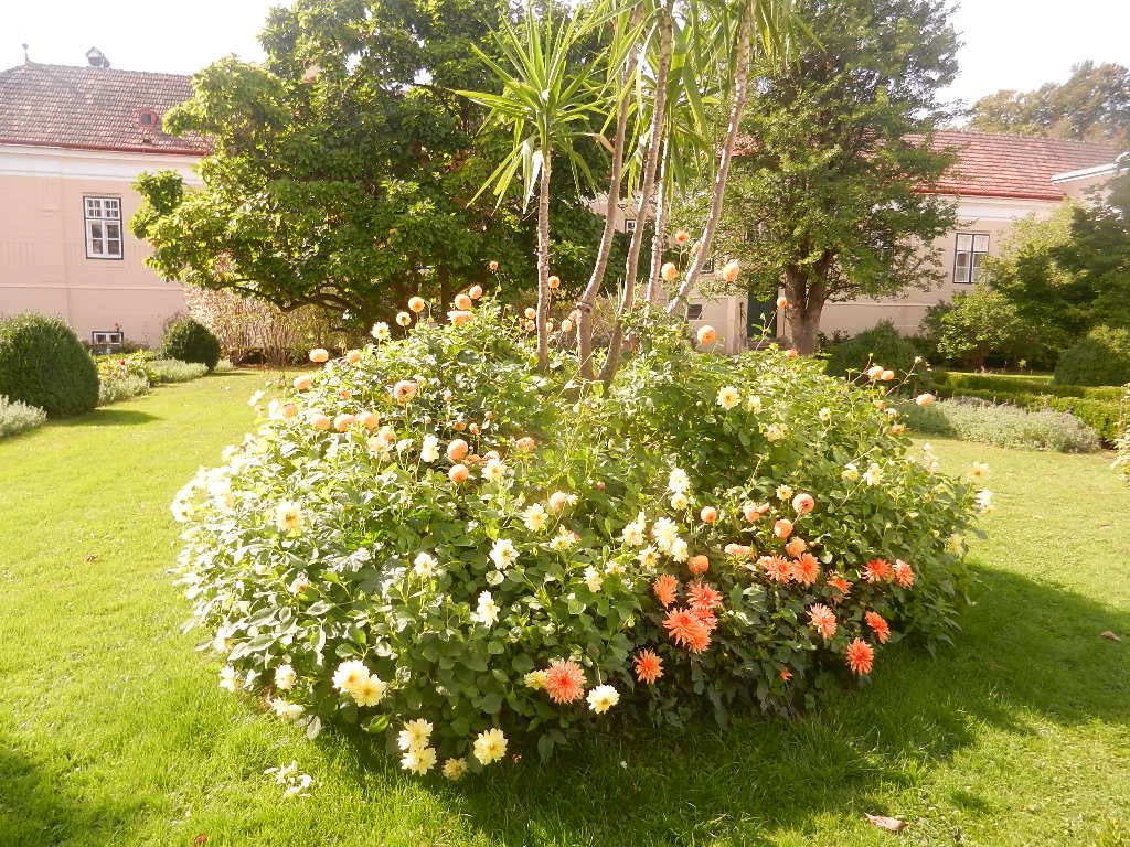 Impression aus dem Naturgarten v. Stift