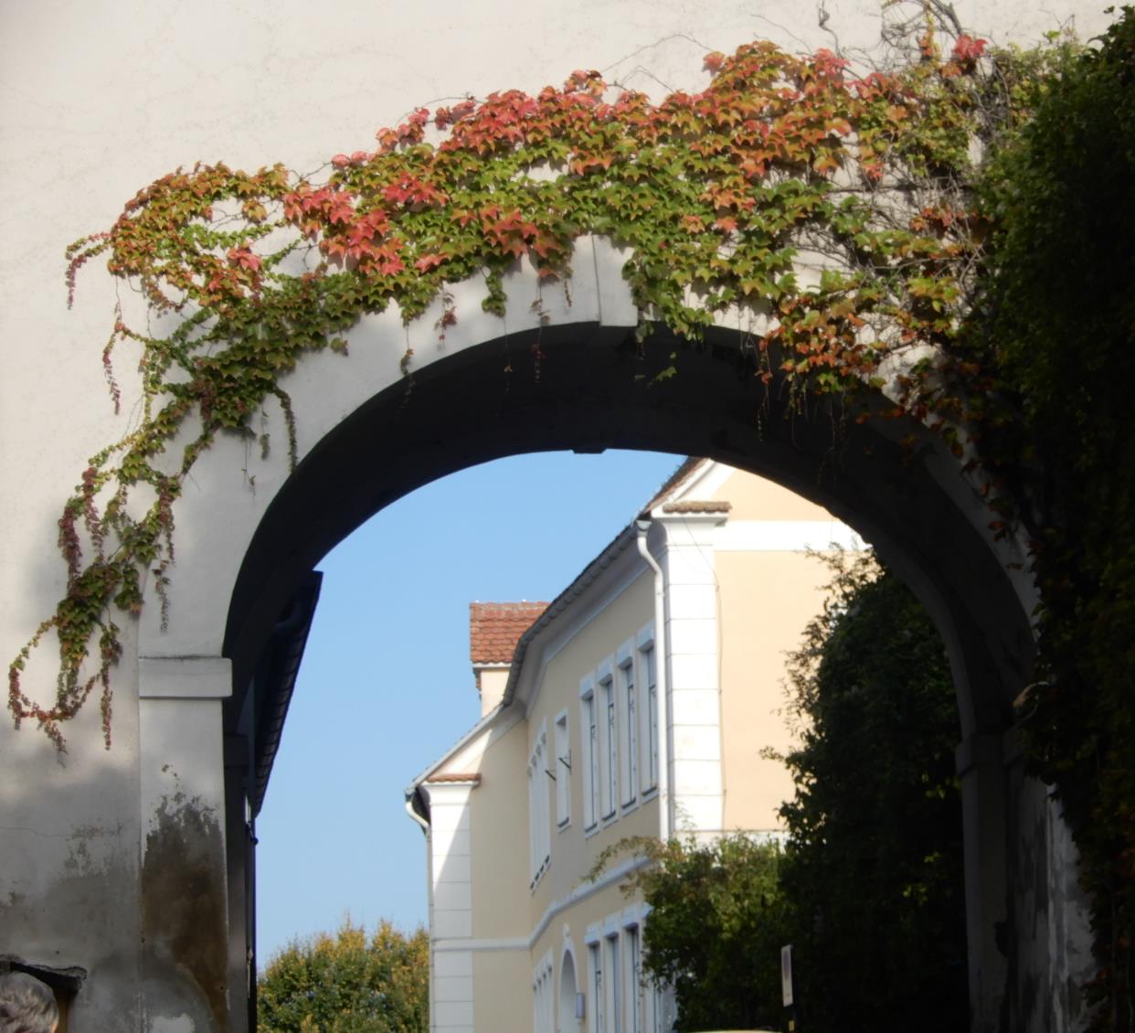 Marktgemeinde Riegersburg