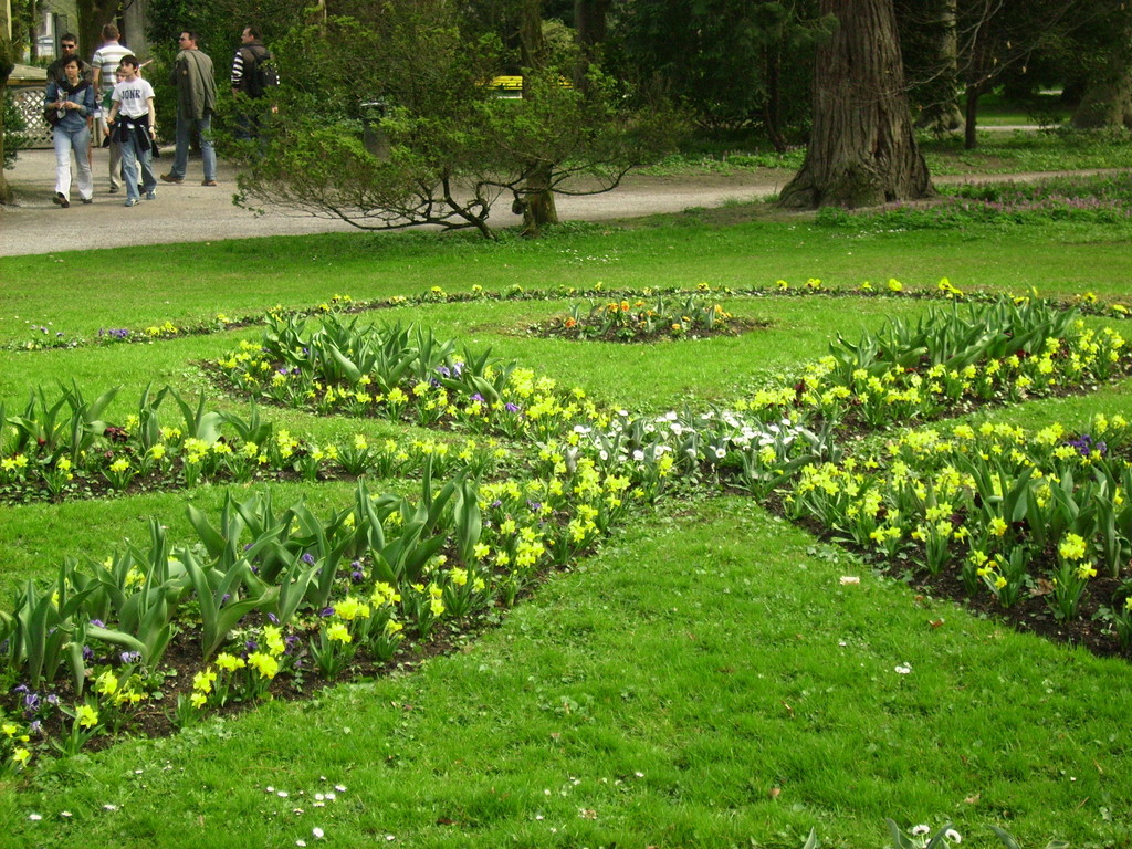 Frühling im Hofgarten