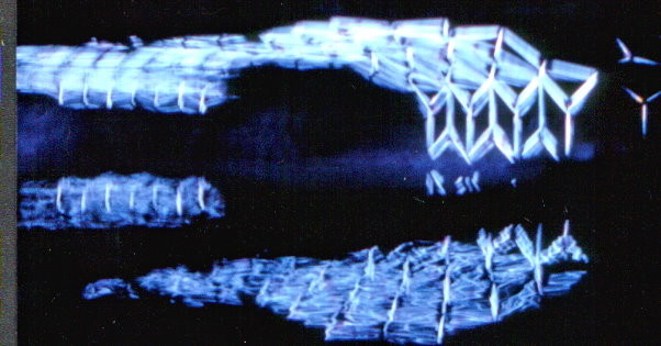 3D Bilder beim unterirdischen Salzsee