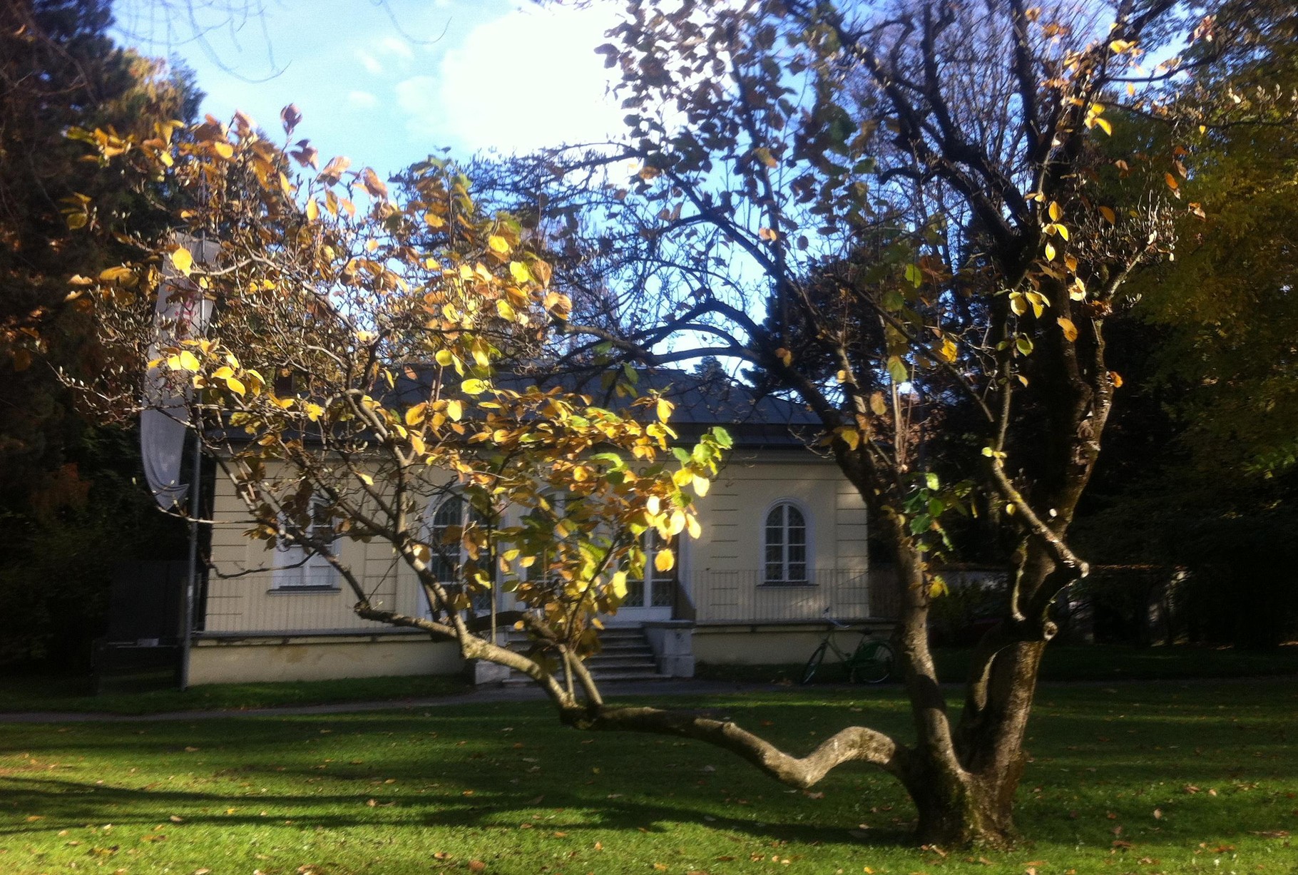 Anfang November 2015 im Hofgarten