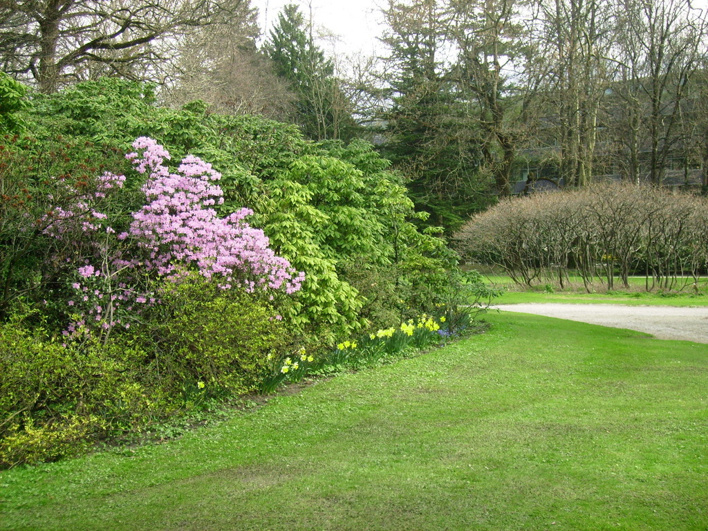 Frühling im Hofgarten