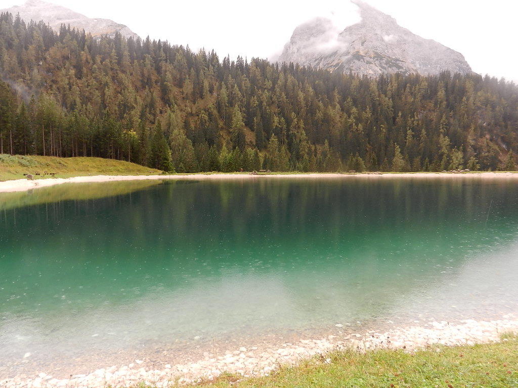 Rundwanderung um den Almsee