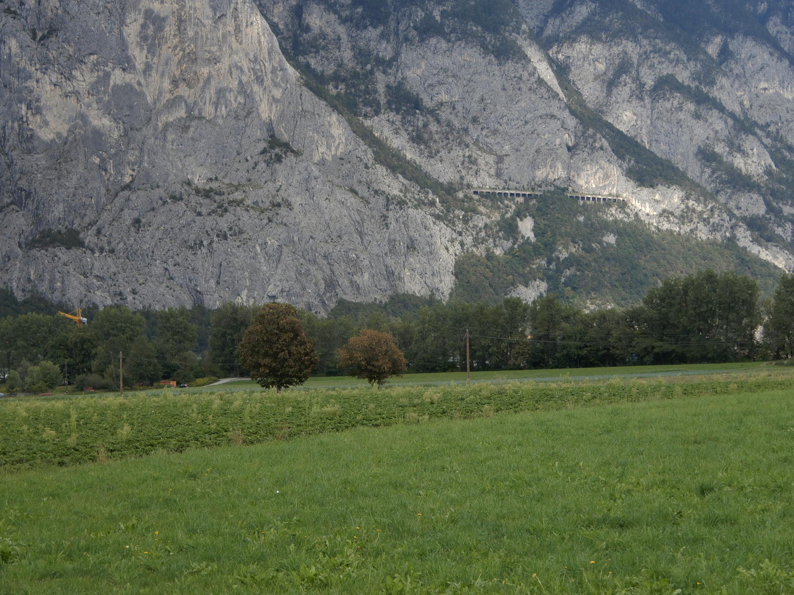 Blick auf die Mittenwaldbahn 