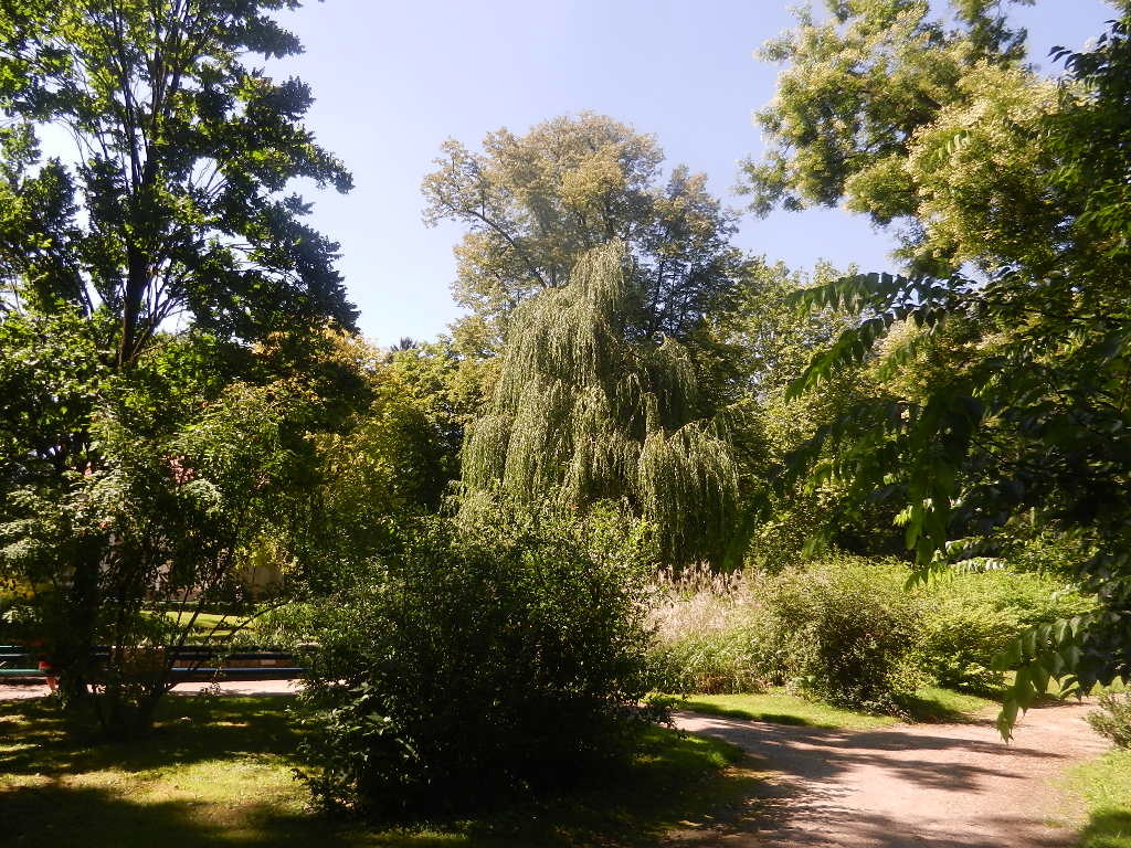Sommer im Hofgarten