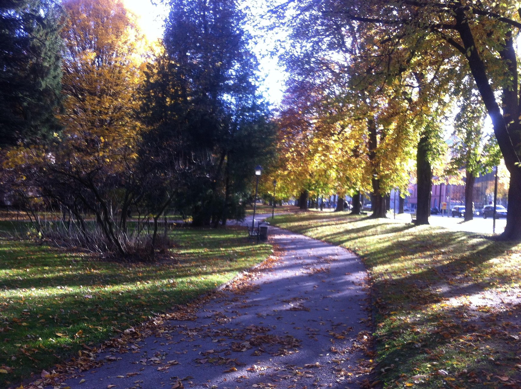 Anfang November 2015 im Hofgarten