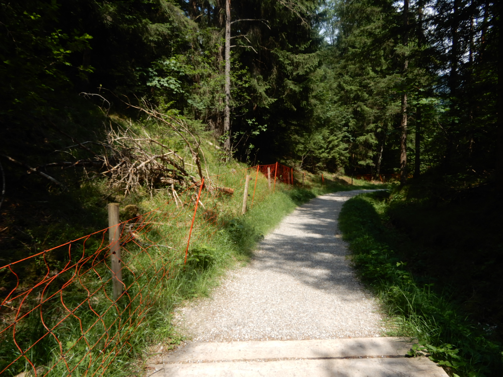 war eine gemütliche leichte Wanderung in einer unberührten Natur