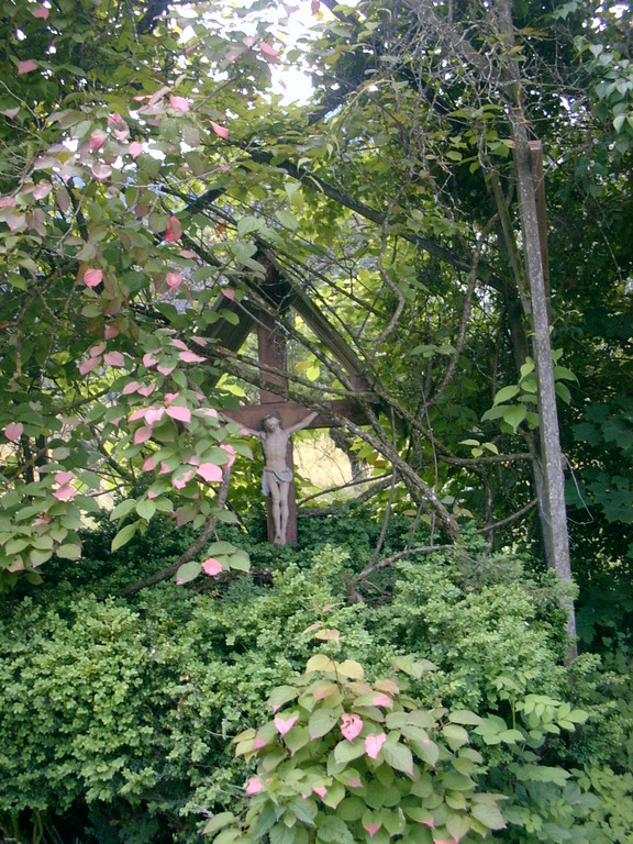Schneeglöckchenbaum