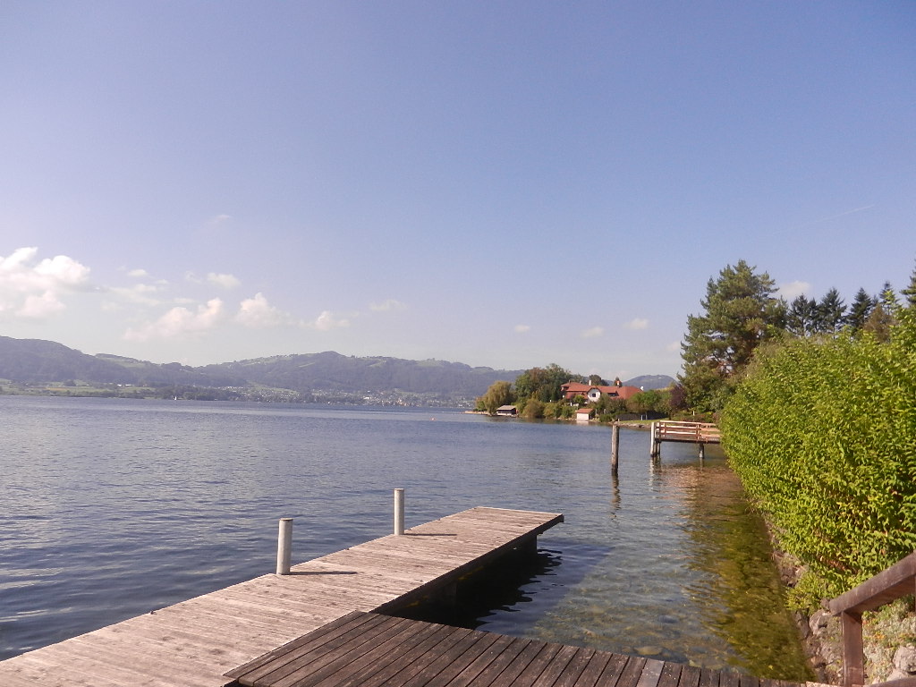 der Traunsee