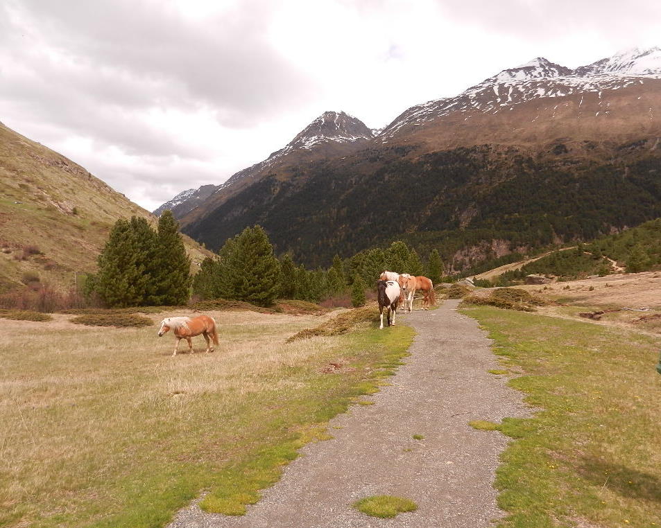 Impression Wanderweg