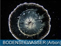 BODENSEEWASSER - ARBON
