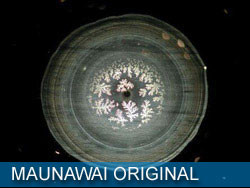 MAUNAWAI WASSER - AUS ORIGINAL WASSERFILTERSYSTEM