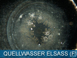 QUELLWASSER - ELSASS (F)