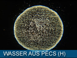 WASSER AUS PECS