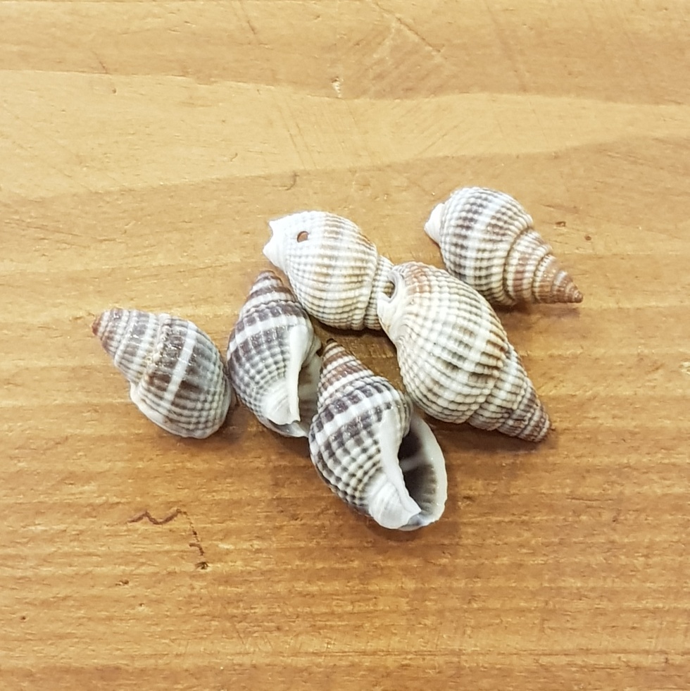 Filo Di Conchiglie Rotonde In Madreperla Bianca, Diametro 4 Mm, Foro 0,7 Mm, Circa 110 Perline / Filo 15 ~ 16 - Foto 8