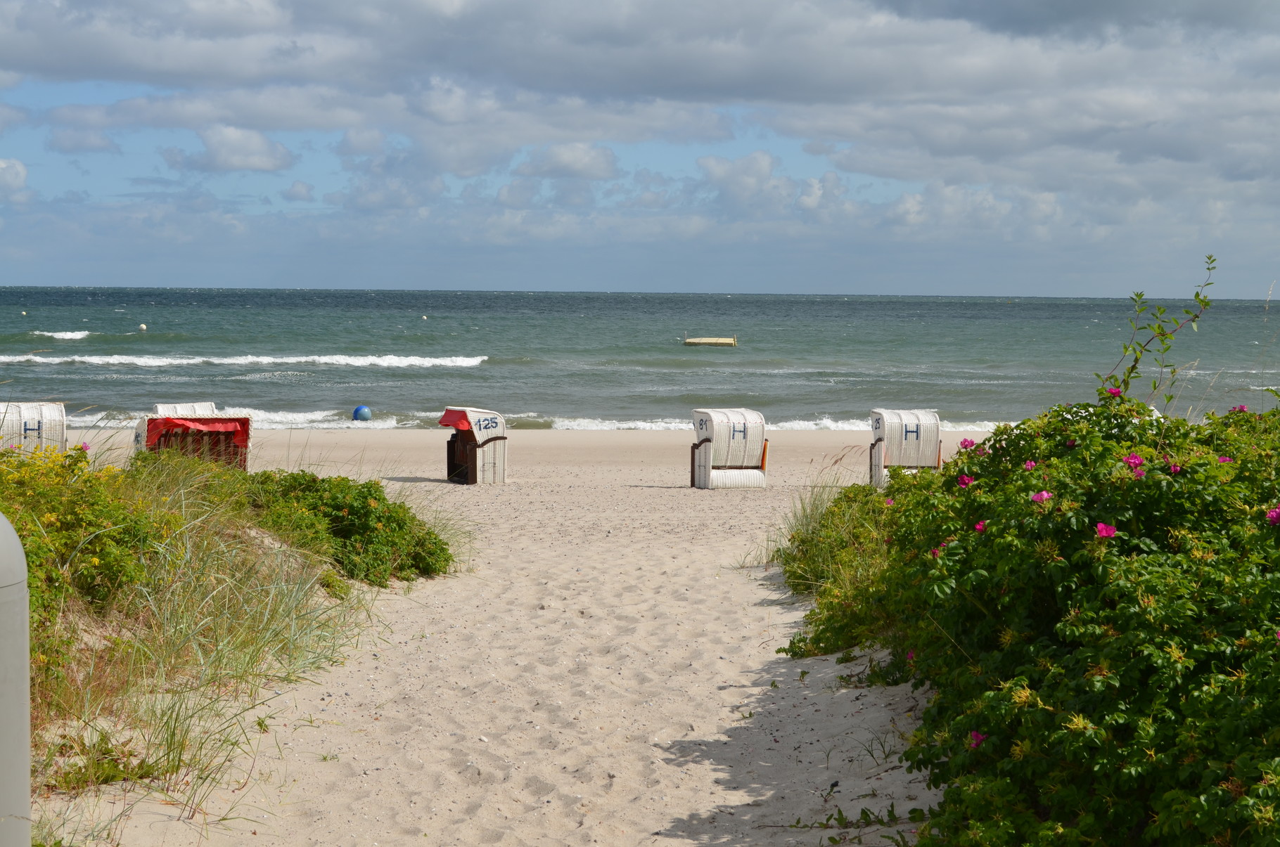 Willkommen Ostsee Ferienhaus in Hohwacht Hohes Ufer