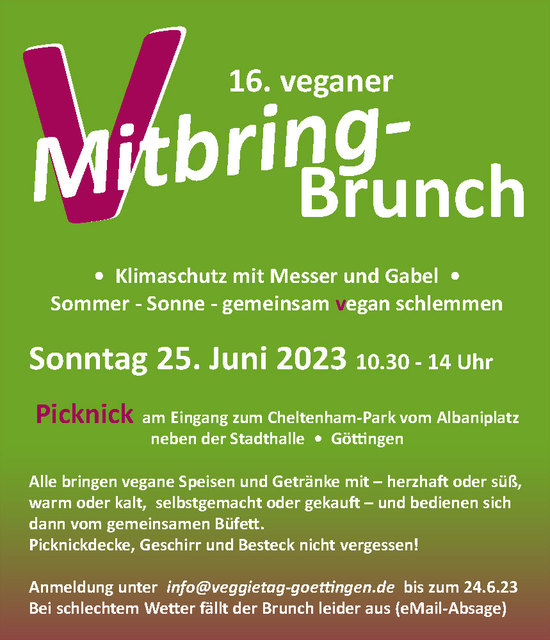 Veganes Picknick