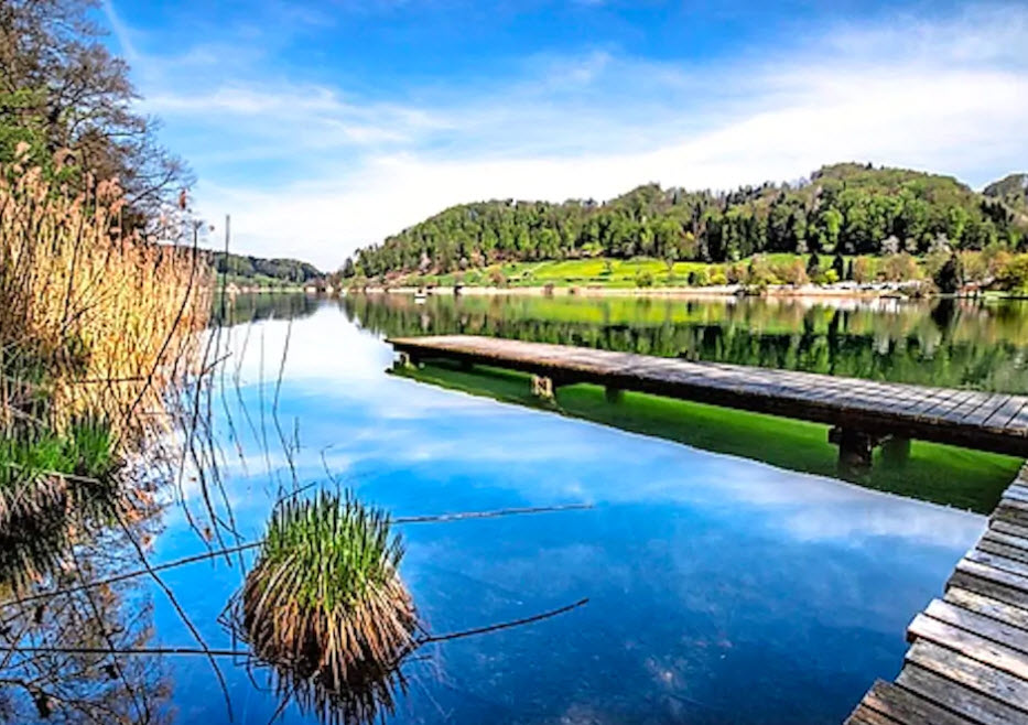 Der Türlersee zählt heute zu einem echten Naturjuwel.