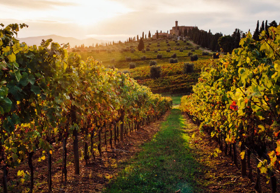 Ende August beginnt in der Toskana die Weinlese, die bis in den Oktober andauert. Die perfekte Ausrede, um ein paar Weingüter zu besuchen oder eine Weinprobe zu machen.