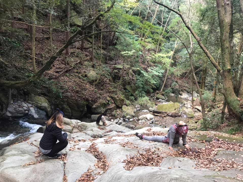 山の瞑想会in大山