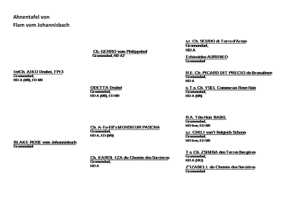 Ahnentafel von Flam