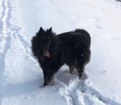 Cosima Ella von dem Schatten hinter mir 2018