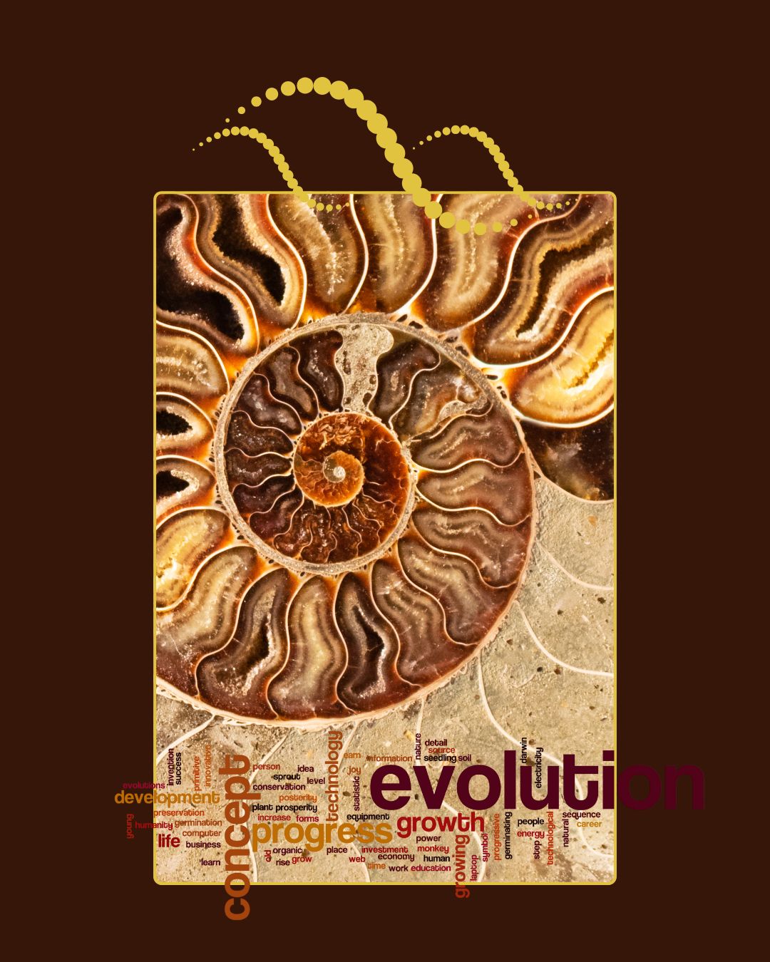 Evolutionstheorie, Konkurrenz & Erschöpfungszustände