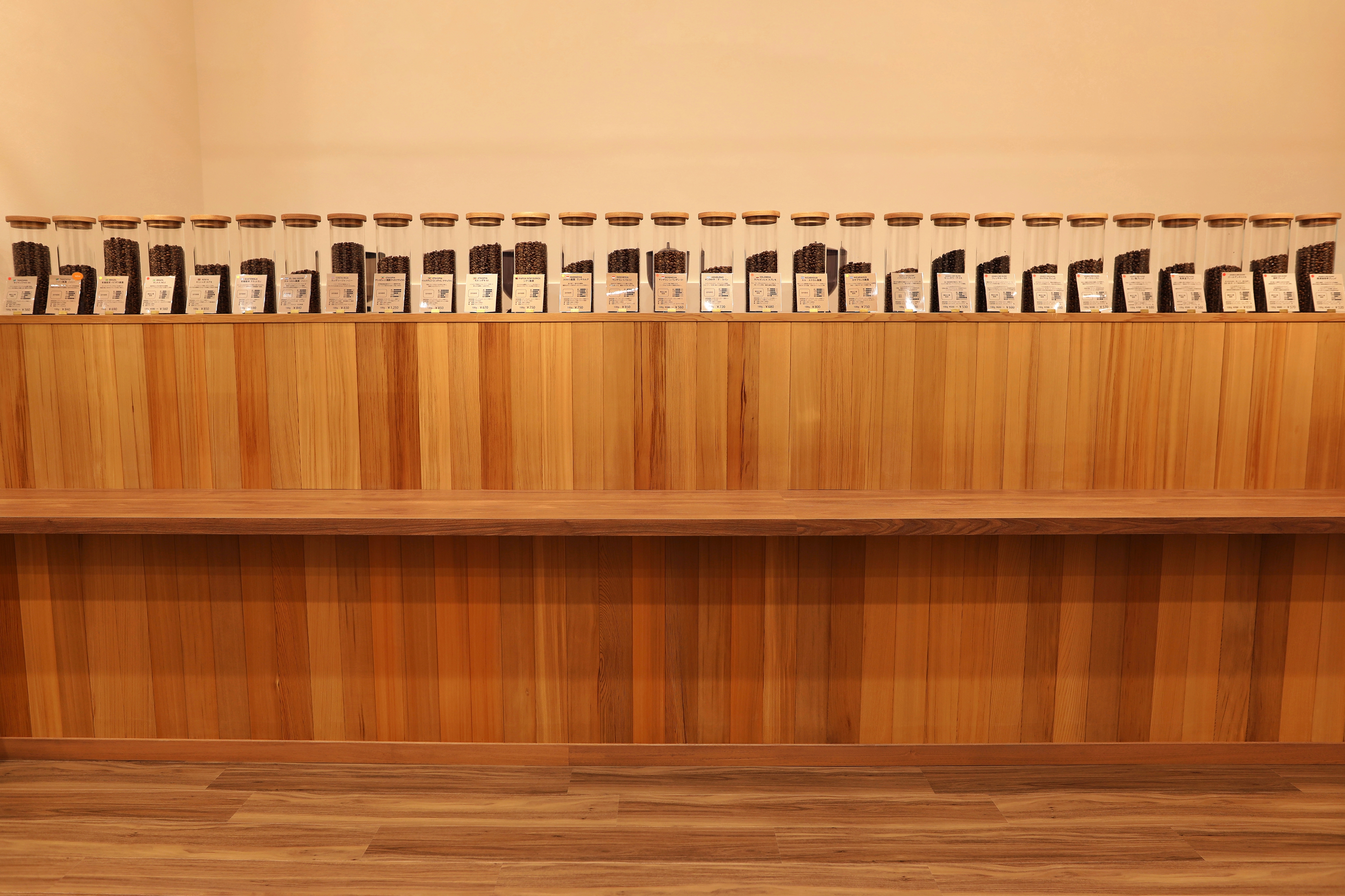 【アフガニスタン産】ジャクエモンティ・コーヒババエンシス（1メス） アフガニスタン産】ジャクエモンティ・コーヒババエンシス（1メス）