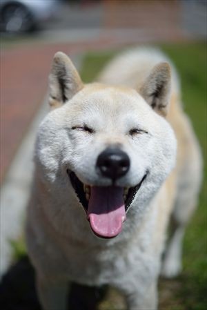 笑いとエンジェルカードリーディング